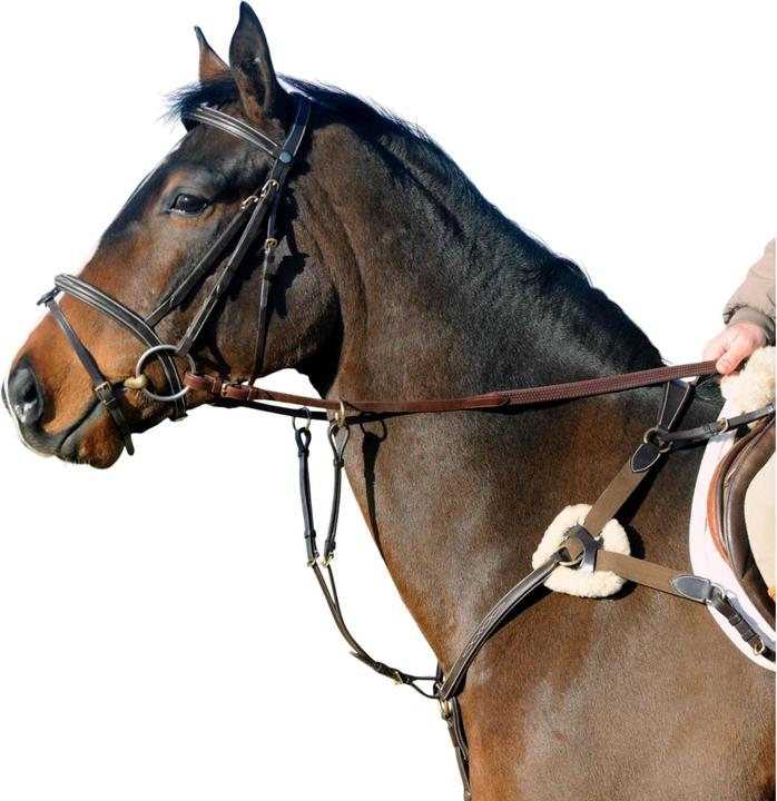 Image du produit - Martingale pour chevaux VALENCIA