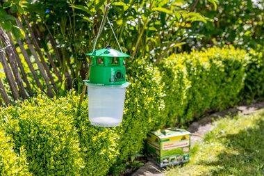 Image du produit Neudorff Buchsbaumzünsler-Falle