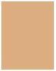 Actual product image Rimmel London Kind & Free Blur It Out Mattifying Skin Tint (210 Golden Beige)