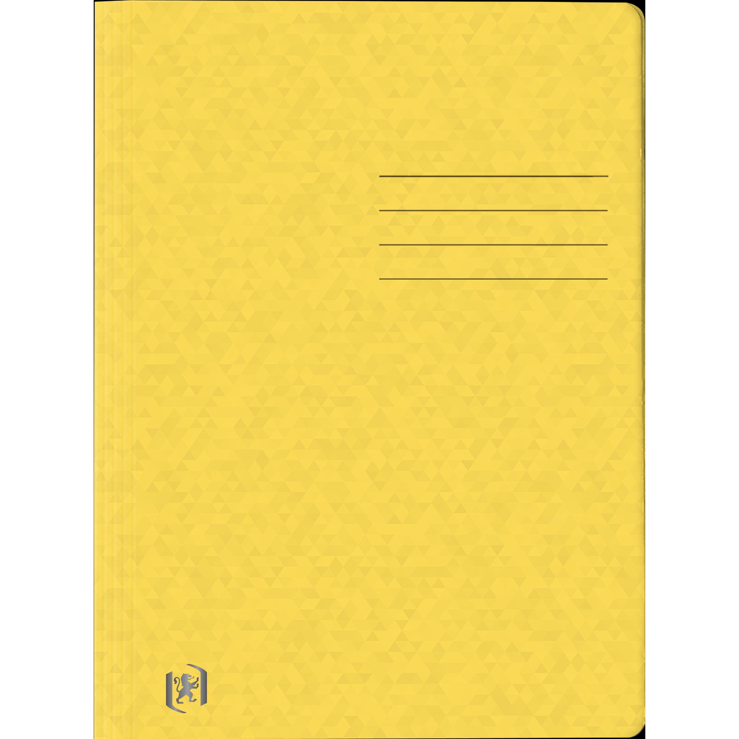 Oxford, Mappe, Schnellhefter TOP FILE+, A4 (A4, 1 x)