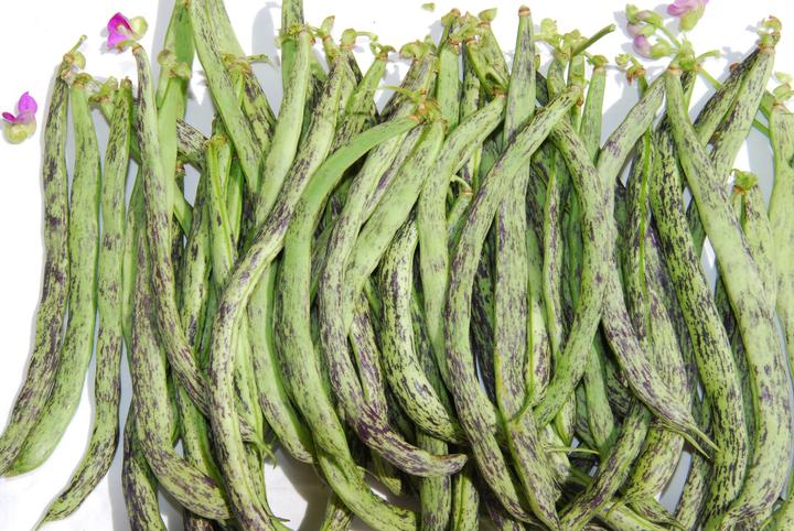 Image du produit Zollinger Bio Haricot à rames, La Vigneronne