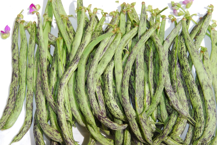 Produktbild Zollinger Bio Stangenbohne, Die Weinländerin