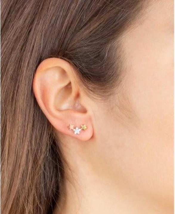 Image du produit Vidal & Vidal Boucles d'Oreilles Vidal E Vidal (Argent massif)