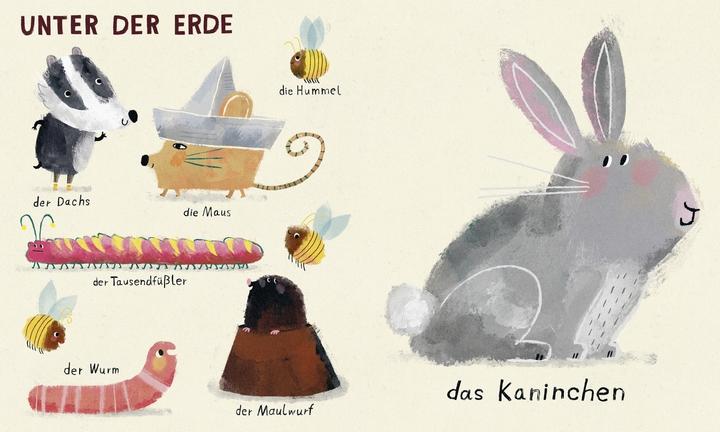 Produktbild Meine ersten Tiere (Deutsch, Anna Süssbauer, 2023)