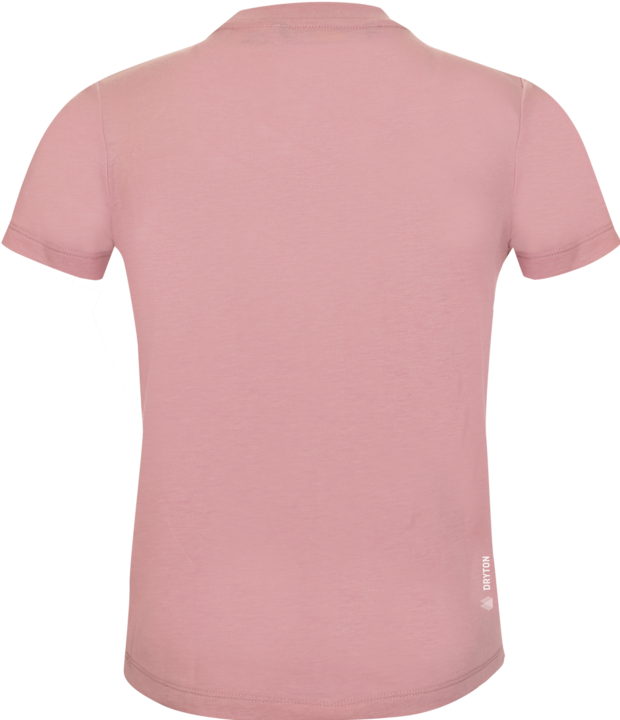 Immagine prodotto Salewa Grafica Dry S/S (140)