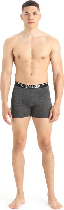 Actual product image Icebreaker Anatomica (L)