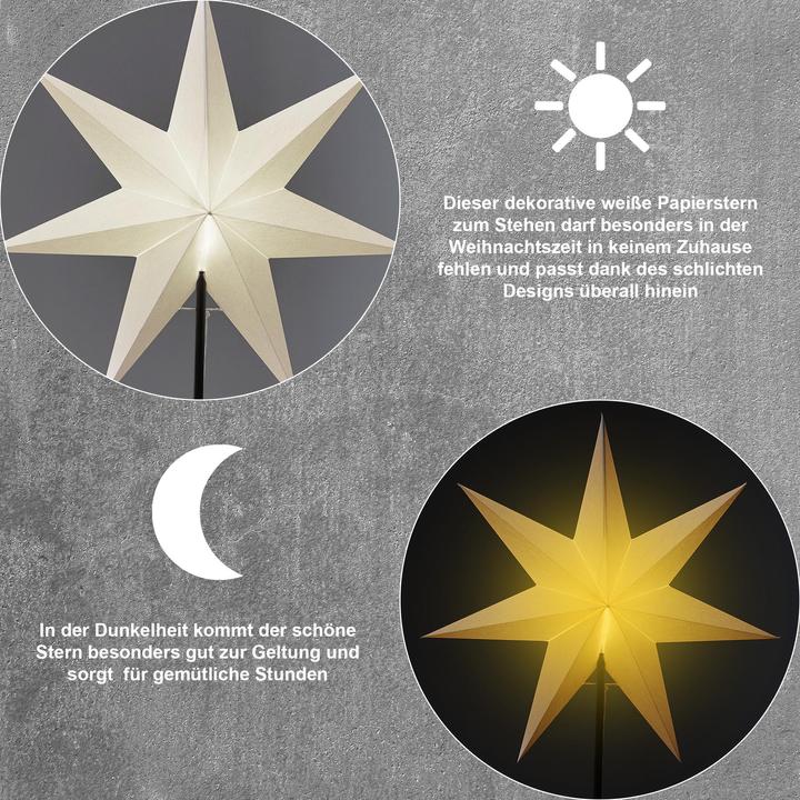 Produktbild Star Trading Tischstern Frozen