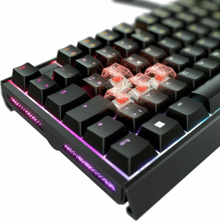 Actual product image CHERRY XTRFY TAS MX 3.1 RGB Corded (DE) MX2A Brown bw (DE, Cable)