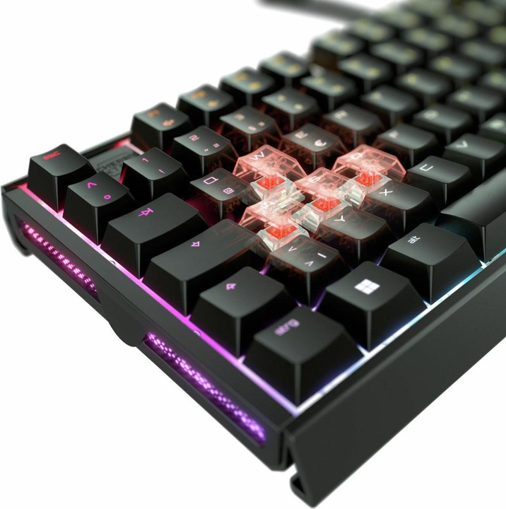 Actual product image CHERRY XTRFY TAS MX 3.1 RGB Corded (US) MX2A Brown bw (US, Cable)