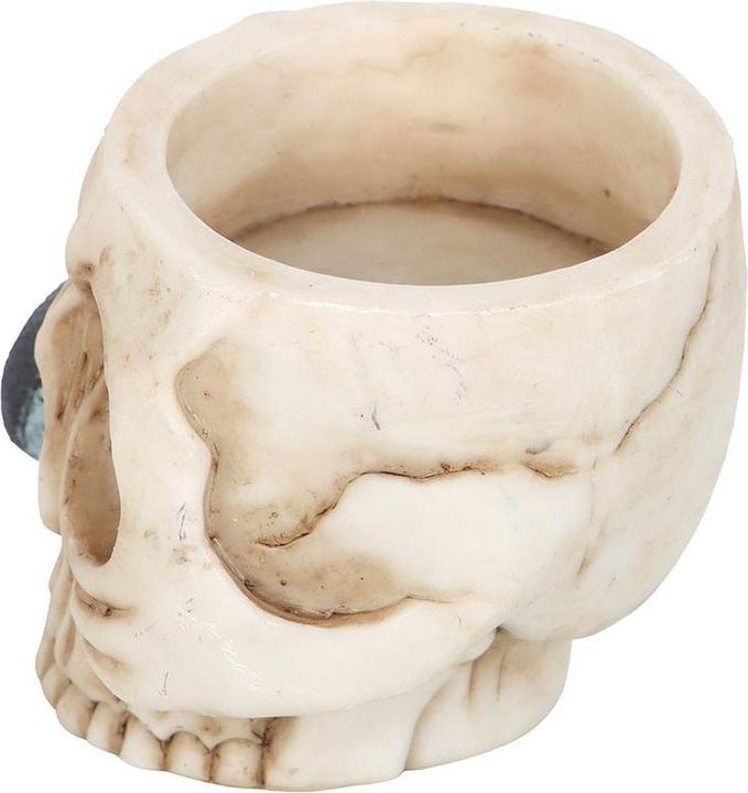 Immagine prodotto Something Different Teschio e Serpente Portalumini