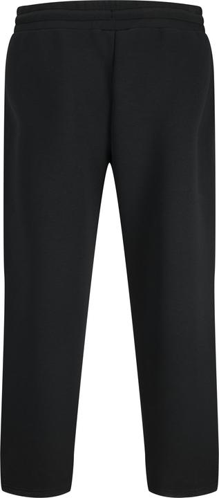 Actual product image Jack & Jones Loose Fit Loose Fit Hosen Loose Fit Hosen (XS)