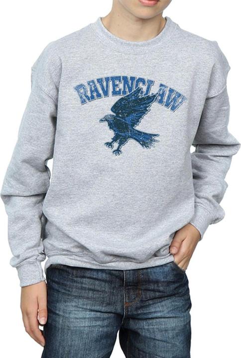 Immagine prodotto Ravenclaw Sport Emblem Felpa Ragazzi (140, 146)