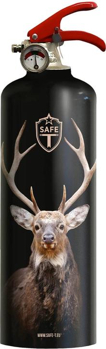 Actual product image SAFE-T Fire extinguisher (A, B, C)