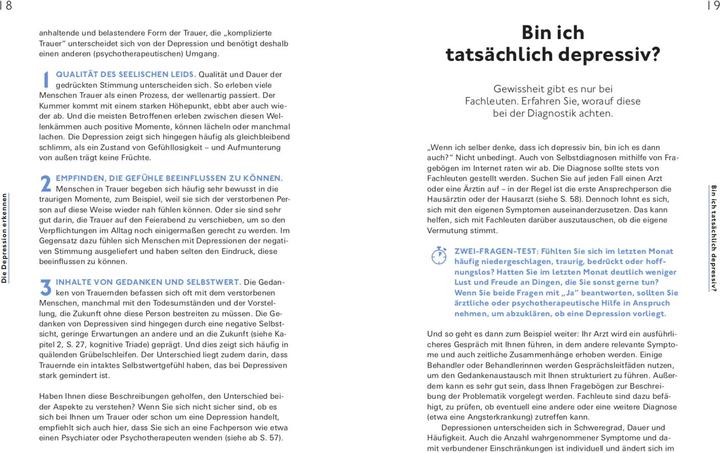 Image du produit Hilfe bei Depressionen (Allemand, Alexander Bredereck, Dr. med. Jana Christina Müller-Flechtenmacher, Mirjam Weinstein-Riechmann, 2023)