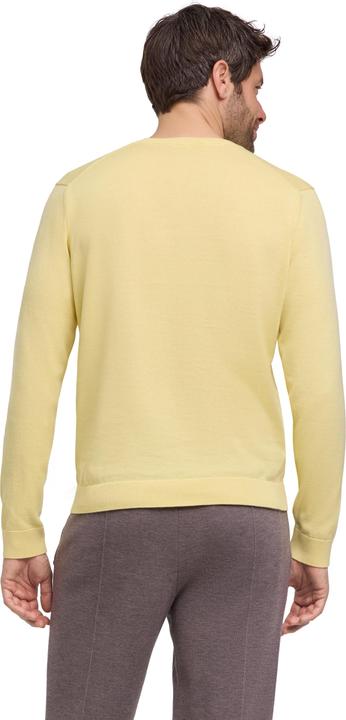 Produktbild Falke FAV Cotton V-Neck m (XXL)