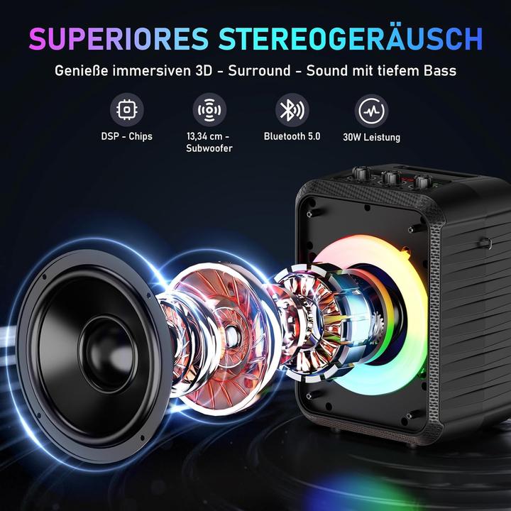 Actual product image HWWR Tragbare Karaoke Maschine D13T mit 2 Mikrofonen (Active, 2x 30 W)