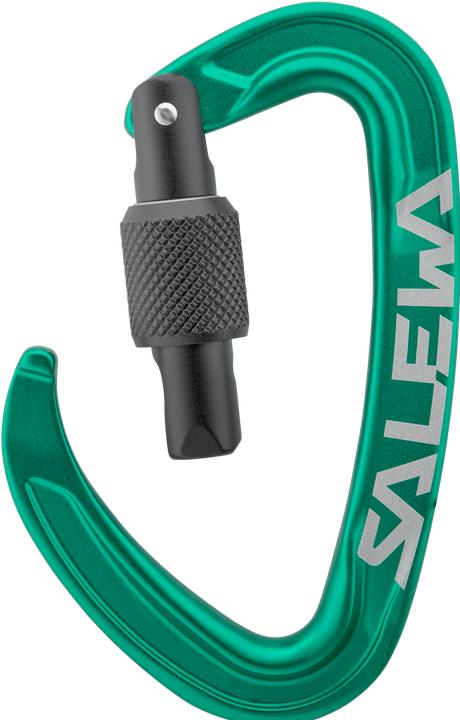 Immagine prodotto Salewa Ortles Screw Carabiner