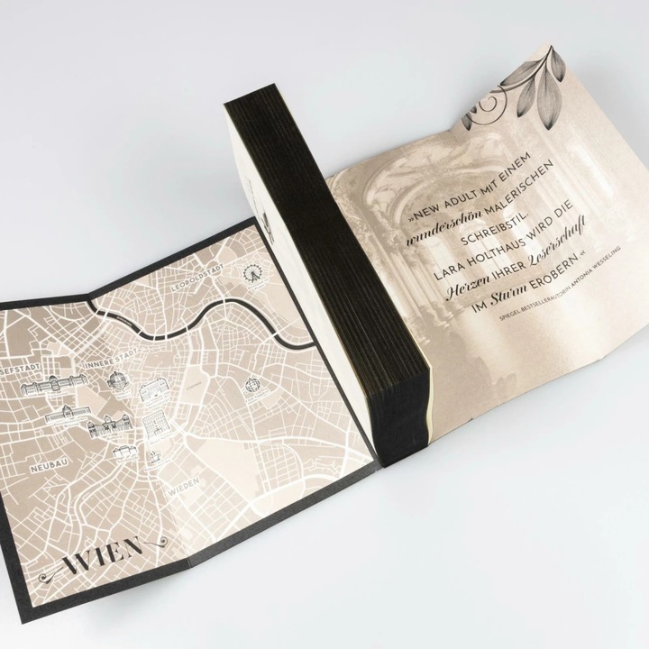 Actual product image Vienna 1: Blinding Lights (German, Lara Holthaus, 2024)