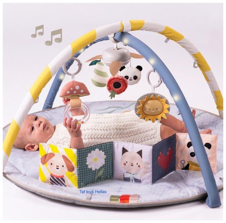 Taf Toys Melody Bloom