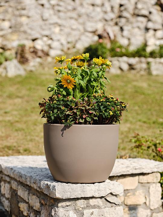 Image du produit Teraplast Ares (70 x 51.50 cm)