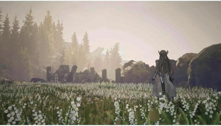 Produktbild Square Enix Valkyrie Elysium (PS5, FR)