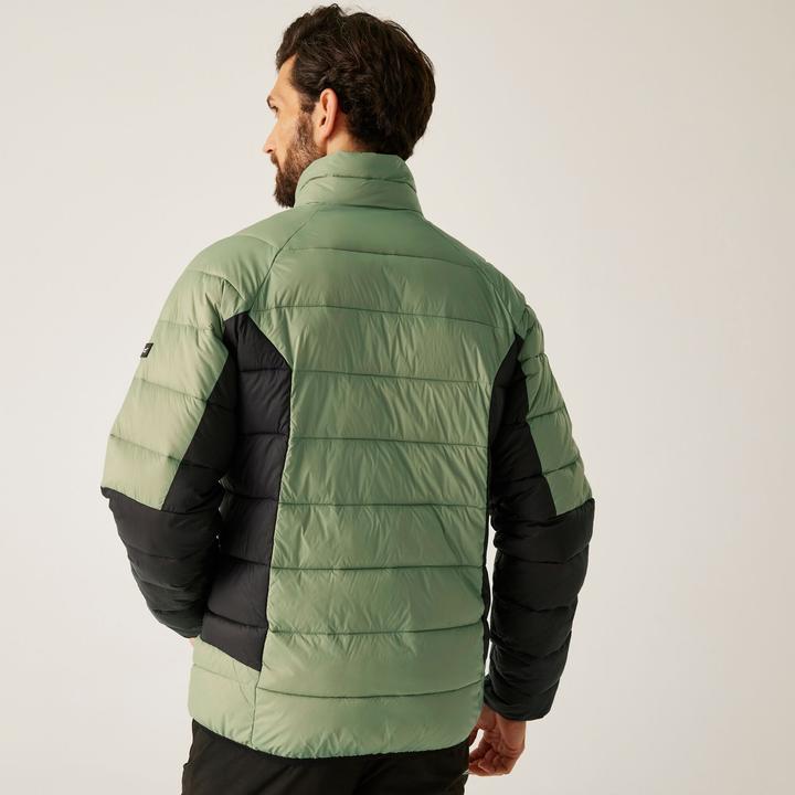 Produktbild Regatta Dalent (XL)