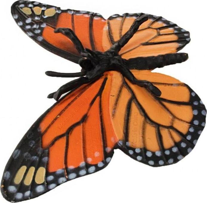 Image du produit Safari Cycle de vie du papillon monarque