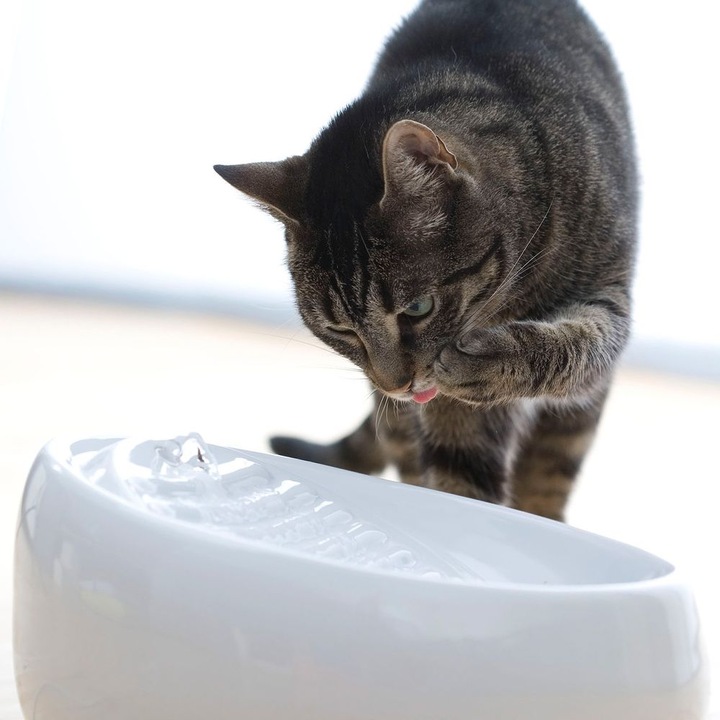 Actual product image Lucky Kitty Cat Fountain (1.50 l)