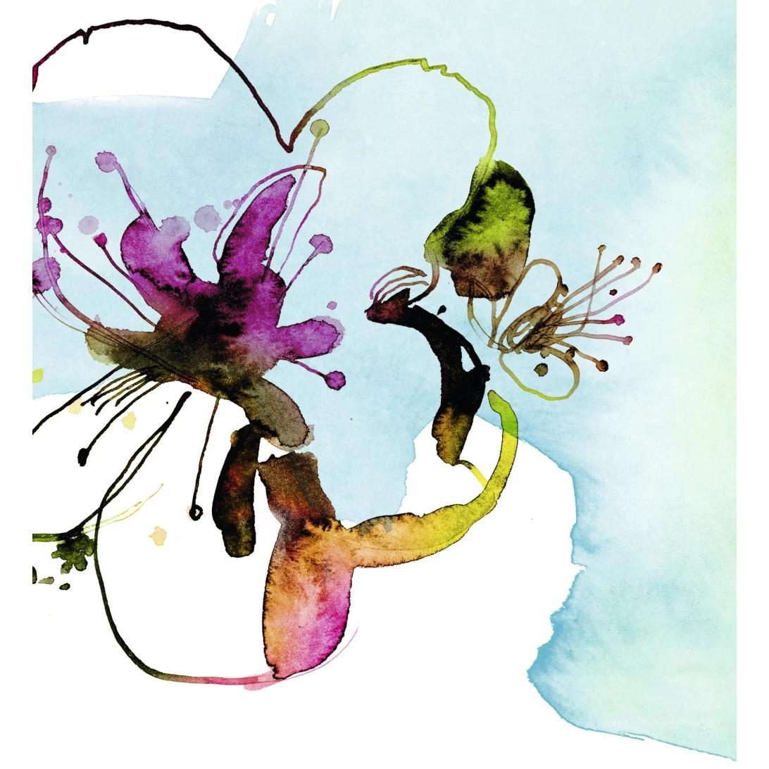 Thumbnail - Es wird Zeit – Das Tagebuch zum Klagen, Lachen, Klügerwerden, Ratgeber von Ildikó von Kürthy