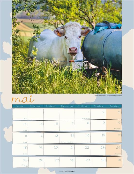 Produktbild Kuh Kalender 2026 (30 x 39 cm)