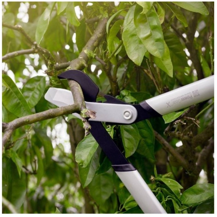 Produktbild Fiskars Astschere Bypass PowerGearX LX