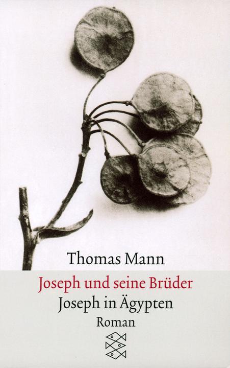 Produktbild Joseph und seine Brüder III. Joseph in Ägypten (Deutsch, Thomas Mann, 1991)