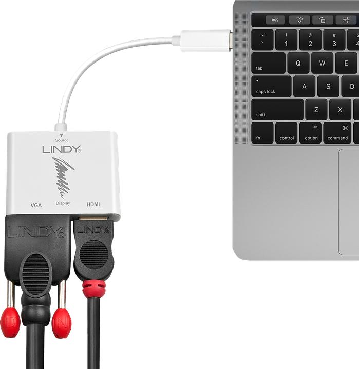 Image du produit Lindy USB 3.1 type C vers (HDMI, VGA, USB 3.1, 4.50 cm)
