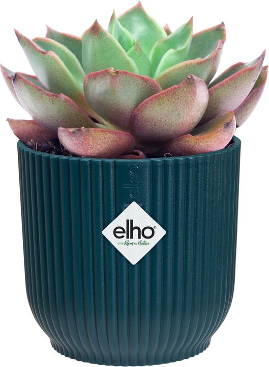 Produktbild Elho Blumenschale (7 cm)