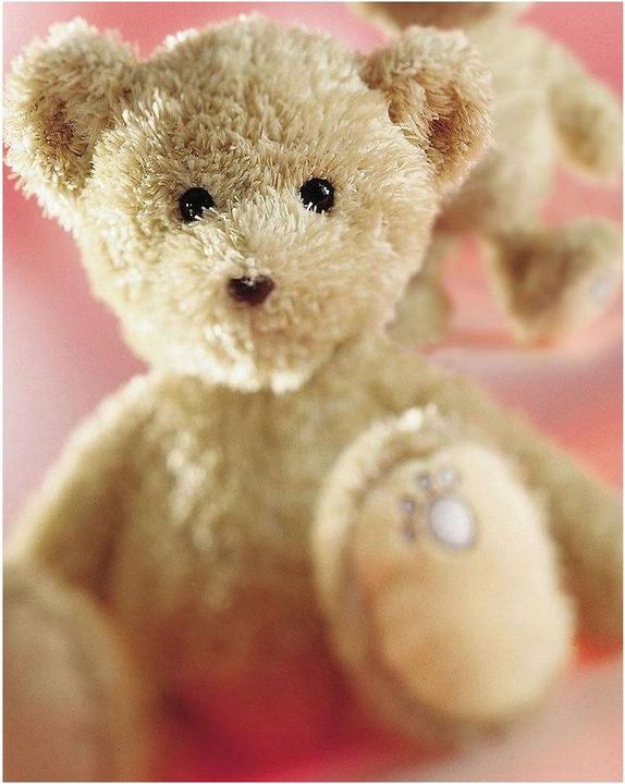 Produktbild Schaffer Teddy Luca (26 cm)