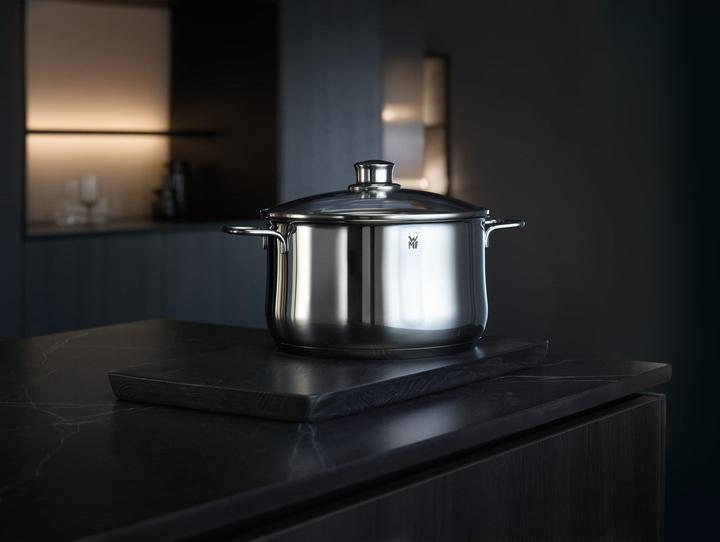 Actual product image WMF Diadem Plus (24 cm, Pot, Stainless steel)