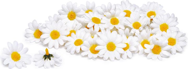 Immagine prodotto VBS Fiori di margherita, Ø 3,5 cm, 50 pezzi