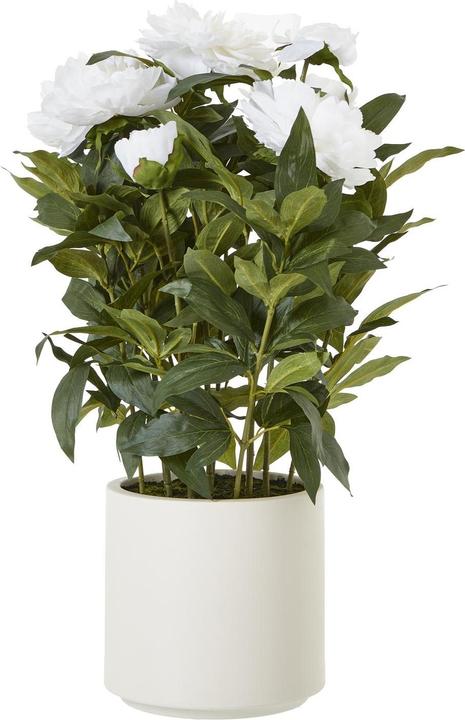 Produktbild Hill Interiors Künstliche Topfpflanze (46 cm)