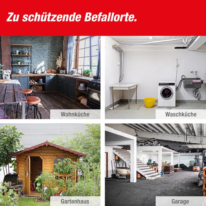 Actual product image Super Cat Rattenfalle PRO SuperCat 1er