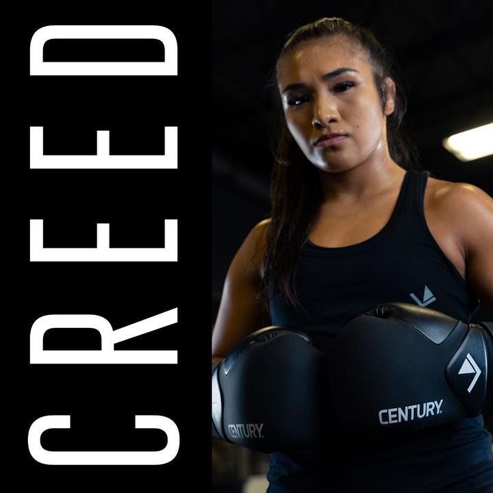 Produktbild Century Wako Kickboxing Handschuhe 10oz (One Size)