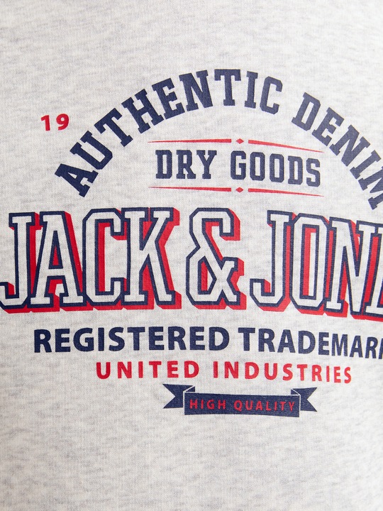 Immagine prodotto Jack & Jones JJELOGO SWEAT HOOD 2 COL 24/25 NOOS JNR (176)