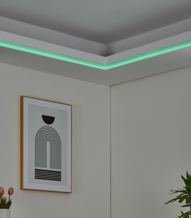 Immagine prodotto EGLO Neon-stripe-z (Multicolore, 300 cm, Interno)