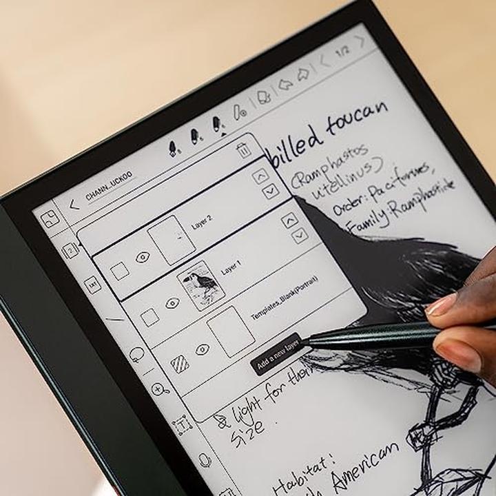 Actual product image Onyx Boox Note Air 2 Plus (10.30", 64 GB, Dark green)