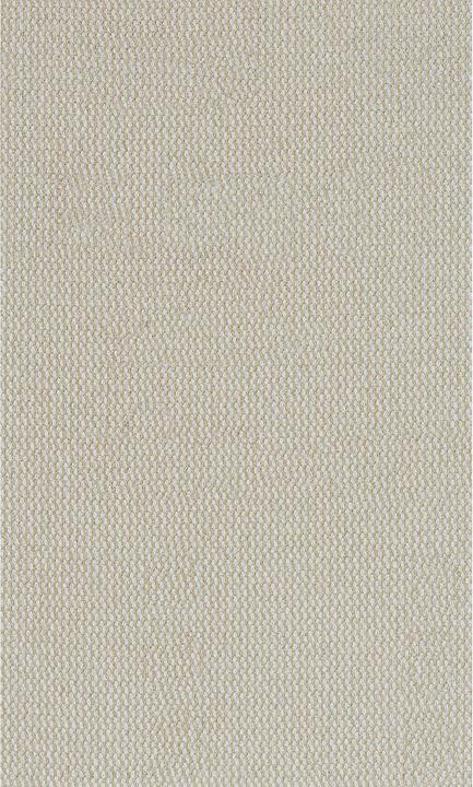 Image du produit Bosch Professional Zubehör Filet abrasif Expert M480 pour ponceuses vibrantes, 80 x133 mm, G 220, 10 pces. (220)
