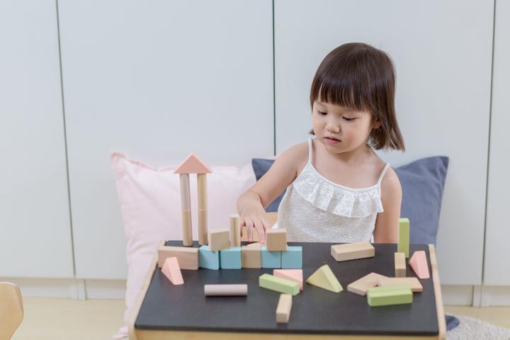 Actual product image Plantoys 40 wooden blocks pastel