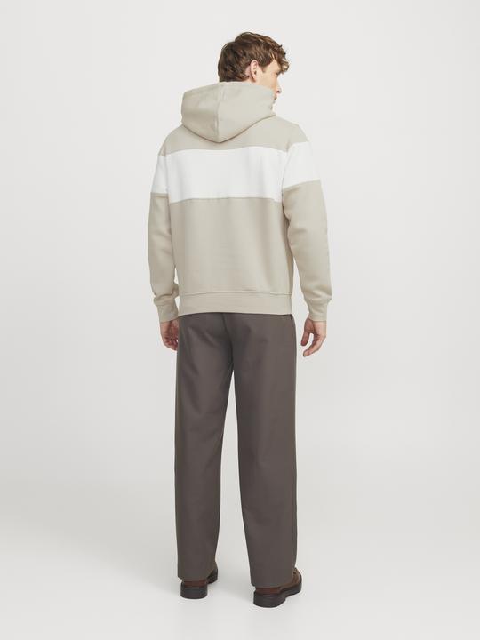 Immagine prodotto Jack & Jones Jorvesterbro Block Sweat Hood Styd Aw24 (S)