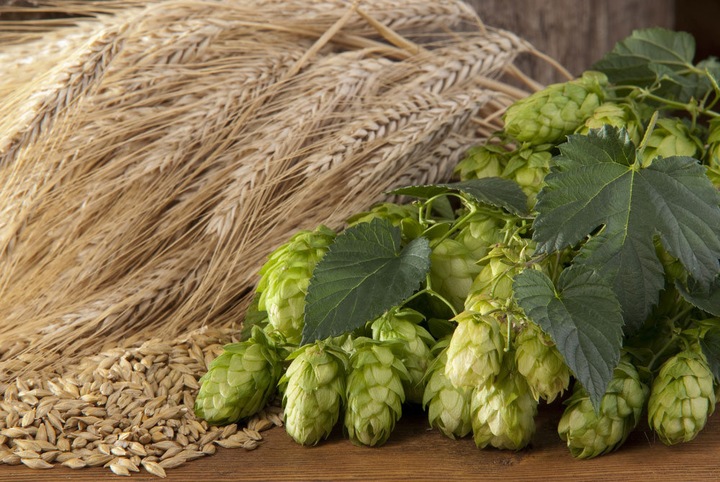 Produktbild Bierbraukurs St. Gallen