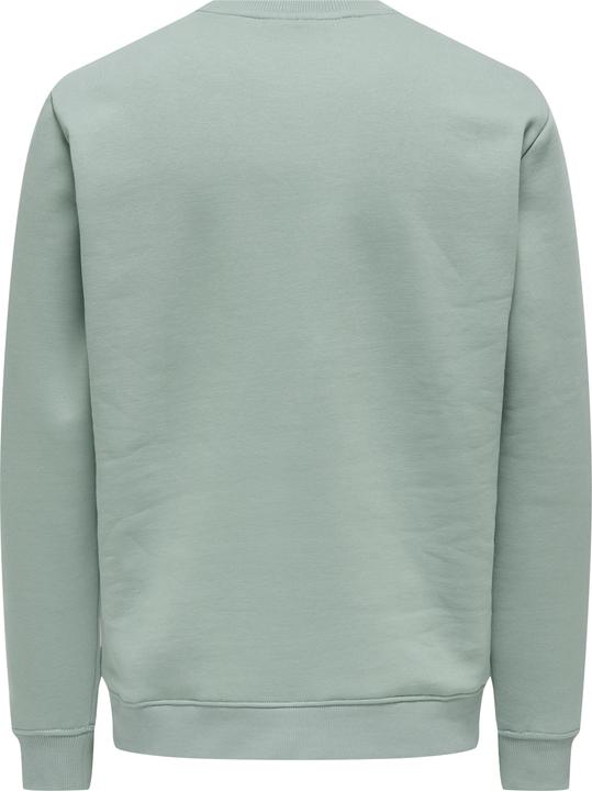 Produktbild Only & Sons Onsconnor Life Reg Crew Neck Sweat Noos (M)