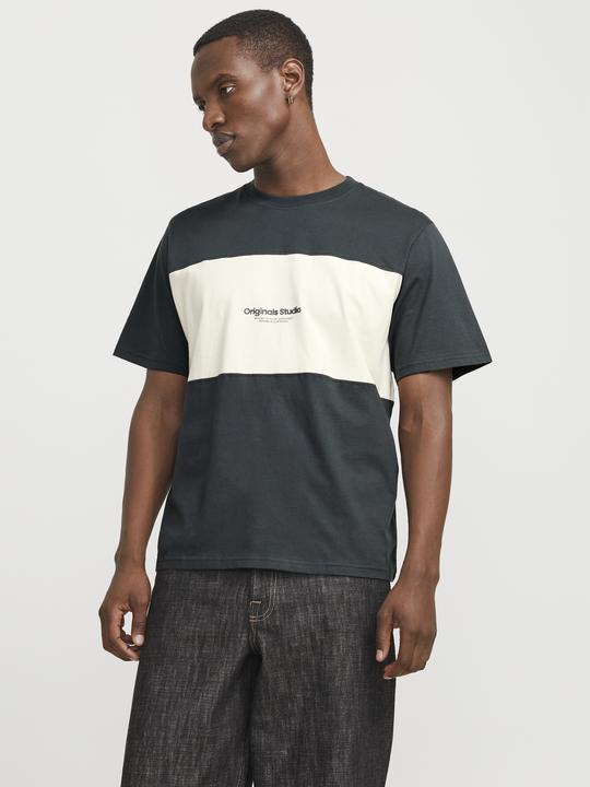Actual product image Jack & Jones Jorvesterbro Block Tee Ss Crew Styd Aw24 (M)