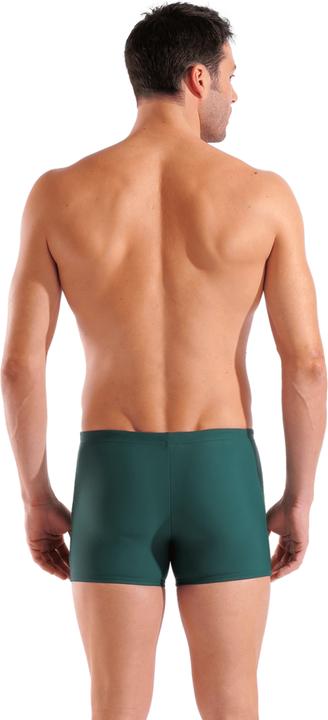 Actual product image Arena M Kikko V Swim Short (7)